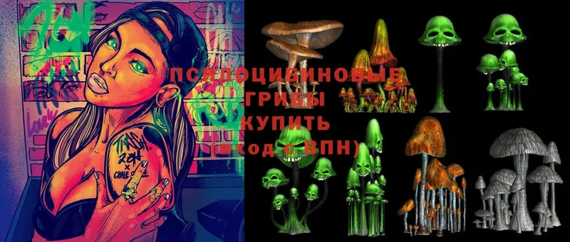 Галлюциногенные грибы Cubensis  даркнет сайт  Артёмовский 